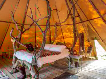 Knepp wildland safaris and camping