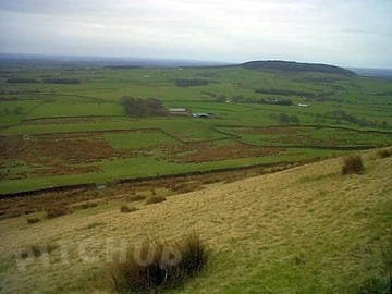 Panoramic views