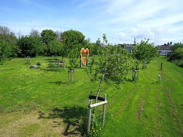 Green setting