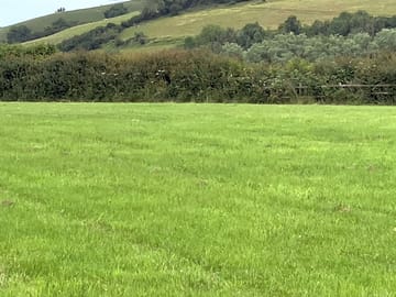 Grassy pitches