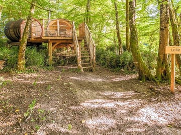 In the woods