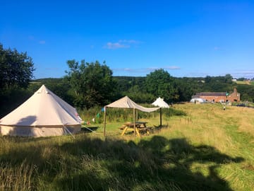 Bell tent at the end of a long meadow