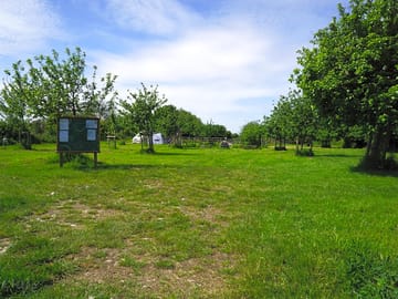 View of the pitches from the entrance