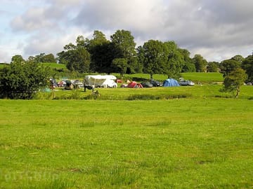 The field