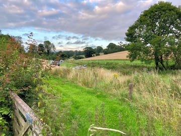 Fully booked with wild campers on an august evening