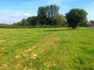 Grassy pitches