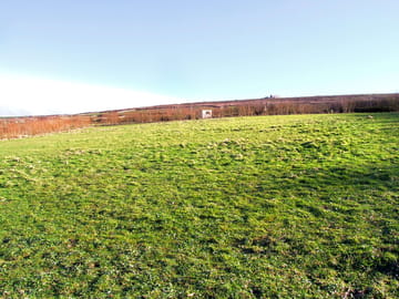 Spacious and grassy