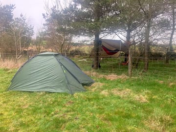 Hammock and tarp, brave camper.