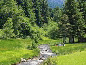 Picnic by a local stream