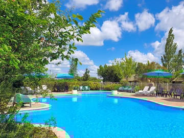 The swimming pool and sun deck
