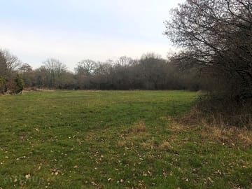 Secluded camping field