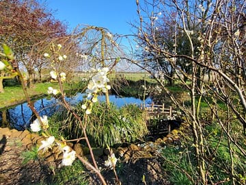 Pond paddock
