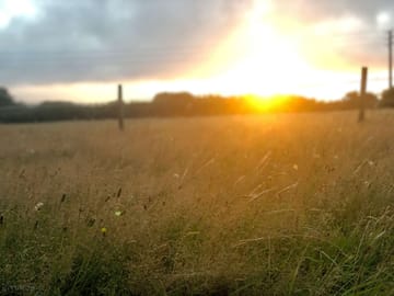 Sunset view from the pitches