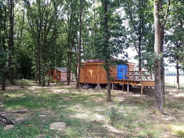 Yurt sheltered by trees