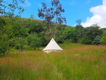 Tent meadow