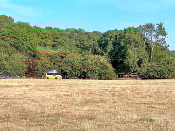 Site
