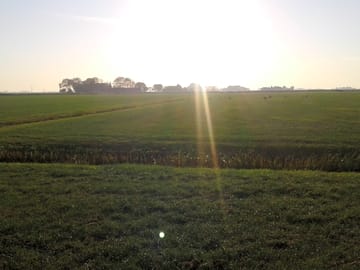 View over the frisian fields