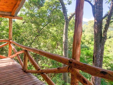 Deck view