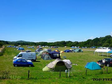 Top field