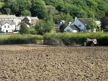 The village