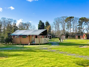 Safari tent