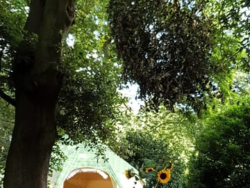 Dining area under the tree