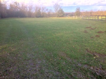 Looking across the field