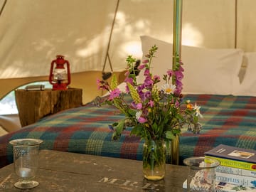 Knepp wildland safaris and camping
