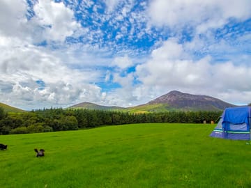 Camping field