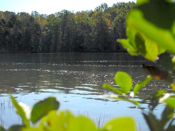 Lake views
