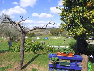 View across the site