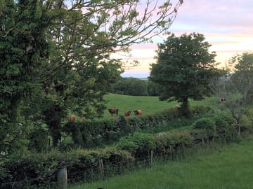 Friendly next-door neighbours