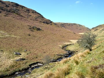 Scenic walks