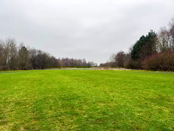 Field