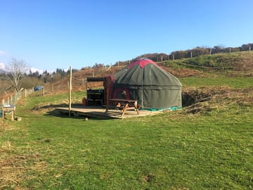 Yurt is at the bottom of our new orchard