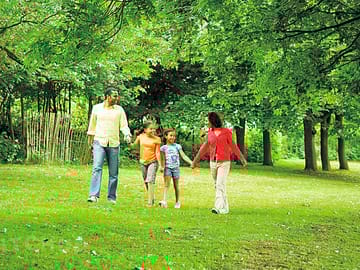 Walks around the park