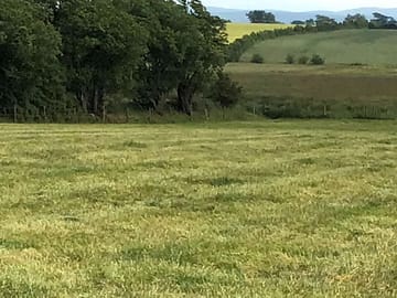 Camping field