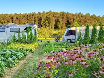 Camping on the outskirts of Ljubljana, Slovenia