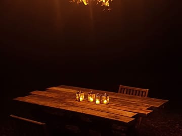 Night view of the narnia tree chandelier