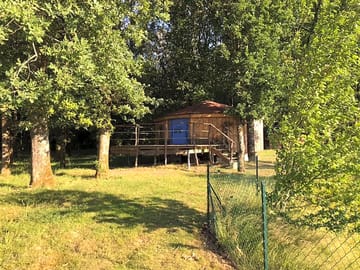 Yurt shaded by trees