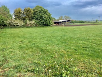 Grassy pitches
