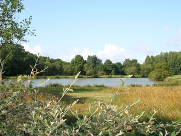 Carp lake adjacent to the site