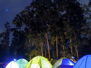 Pitches at night