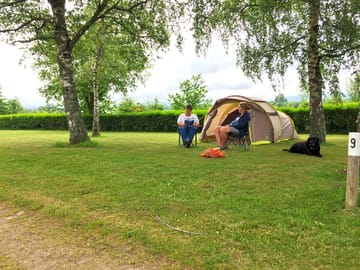 Shaded pitches under the trees
