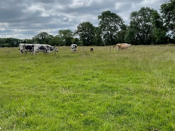 Make friends on site