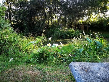 Wildlife pond next to the site