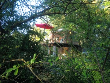 Surrounded by nature