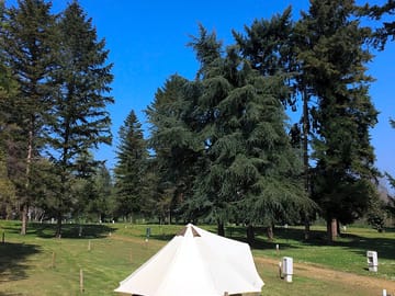 Tipi