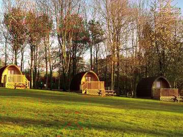View of camping pods