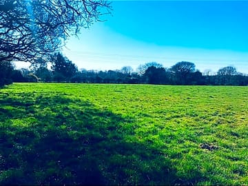 The field
